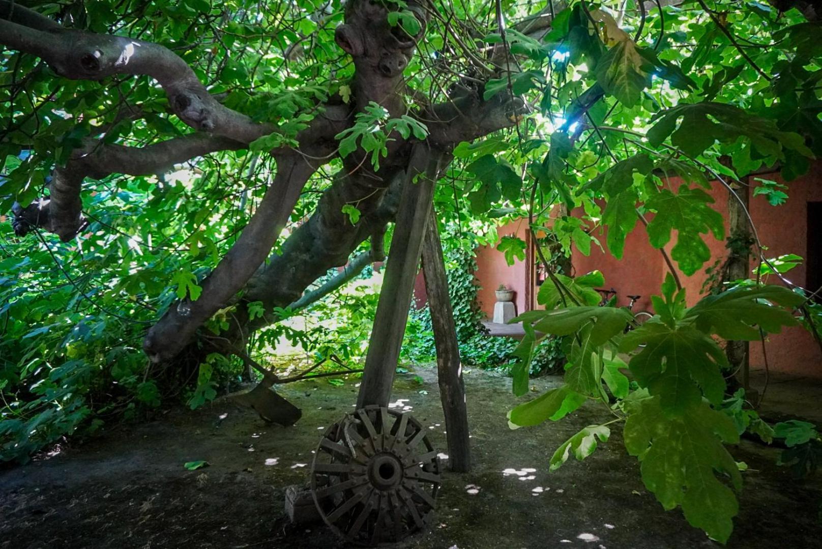 Bed and Breakfast Entre Vinas Санта-Крус Екстер'єр фото